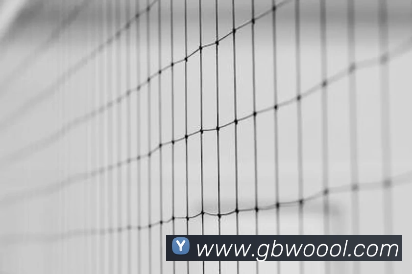 星空体育·星空官方网站 - 星空online(中国)APP 封面图